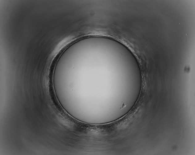 X0000101200199200807071323