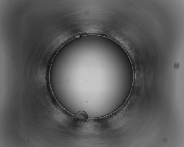X0000101200201200807071323