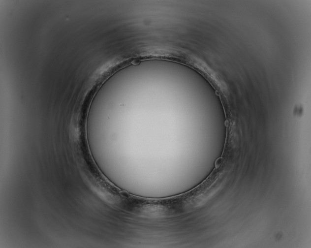 X0000101200203200807071323
