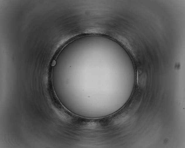 X0000101200204200807071323