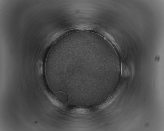 X0000101200205200807071323
