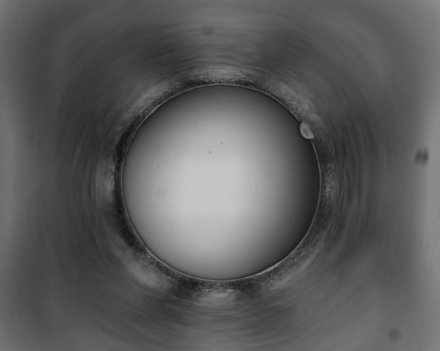 X0000101200206200807071322