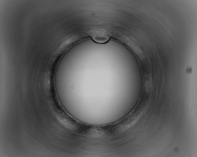 X0000101200207200807071322