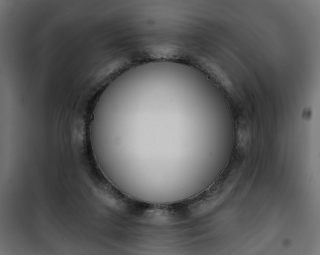 X0000101200211200807071322