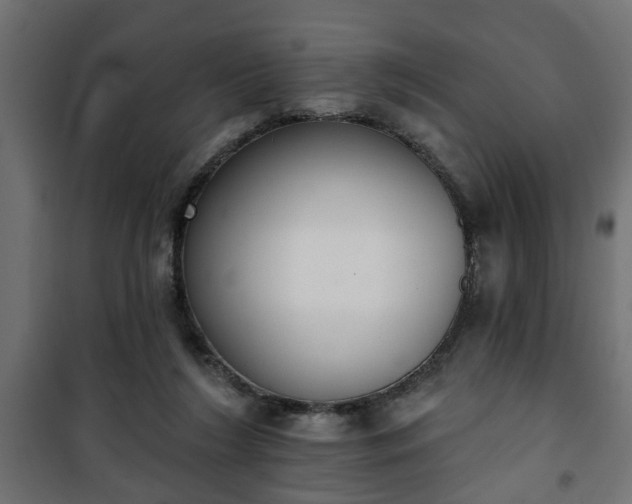 X0000101200212200807071322