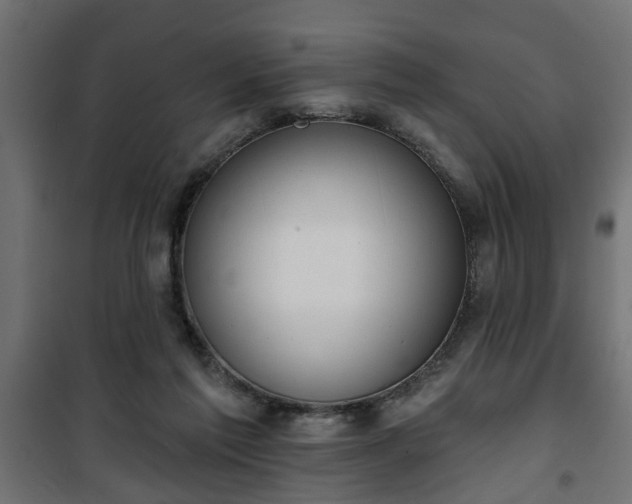 X0000101200213200807071322