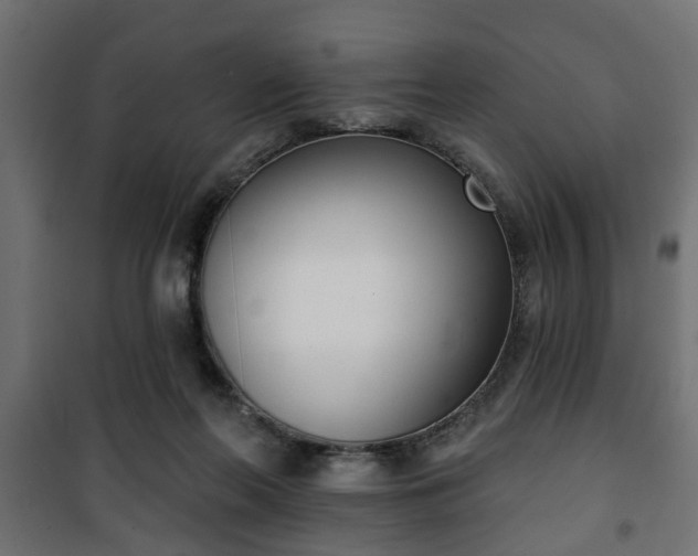 X0000101200214200807071322