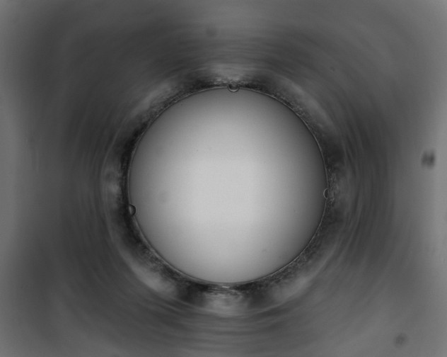X0000101200215200807071322