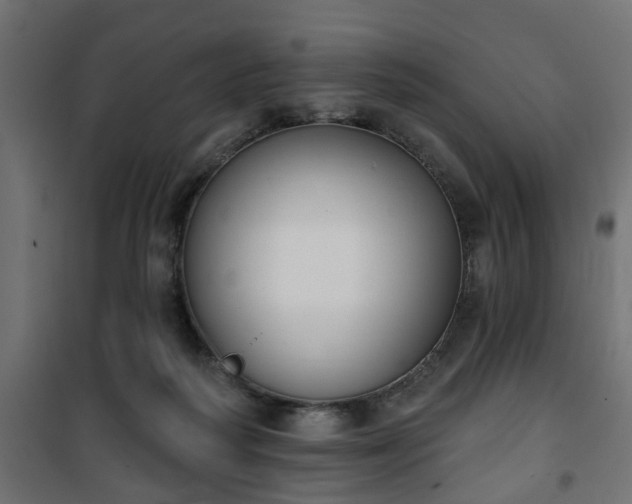 X0000101200218200807071322