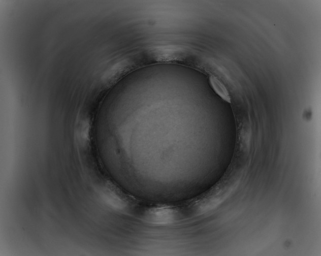 X0000101200219200807071322