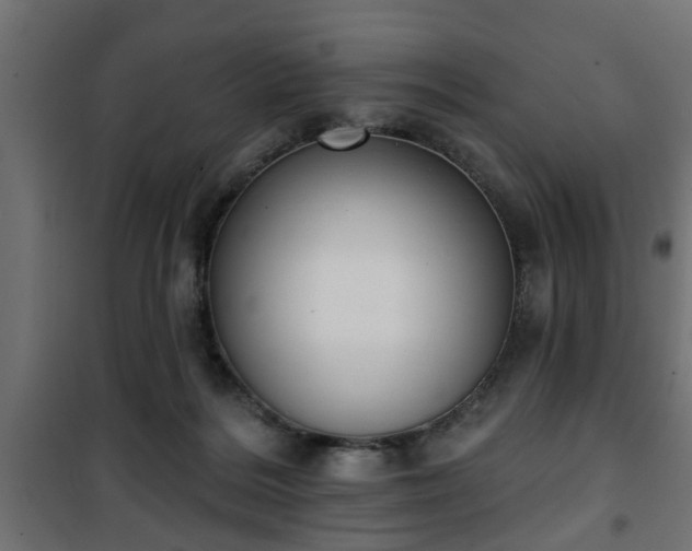 X0000101200220200807071322