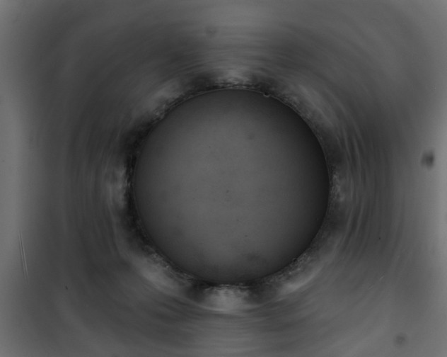 X0000101200223200807071322