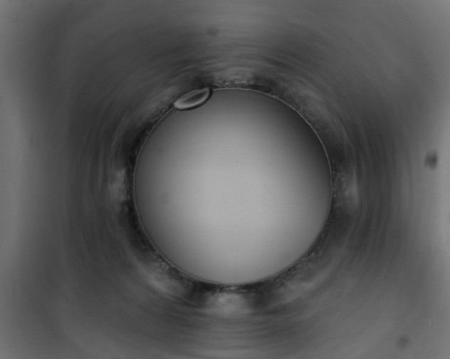 X0000101200224200807071322