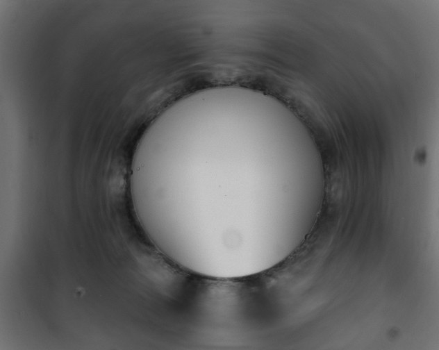 X0000101200226200807071322