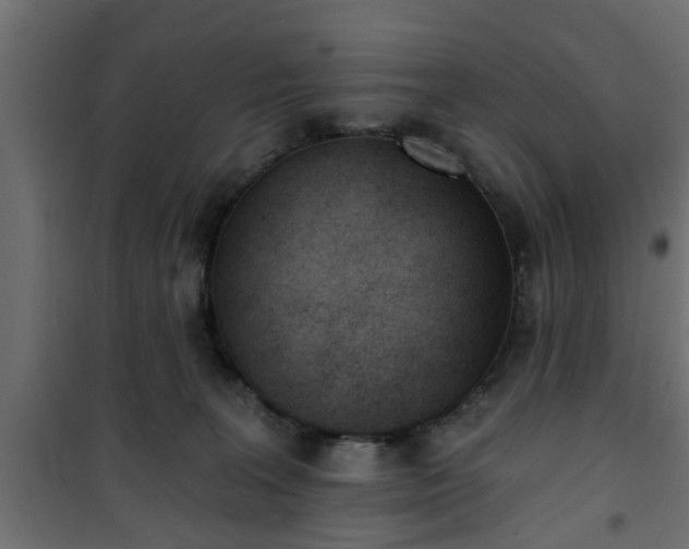 X0000101200227200807071322