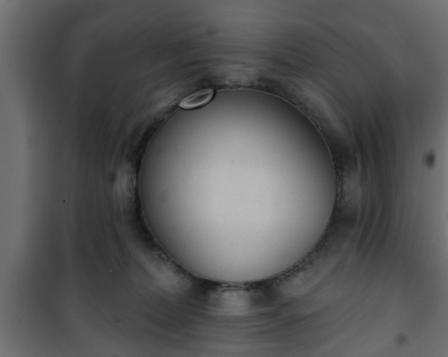 X0000101200228200807071322