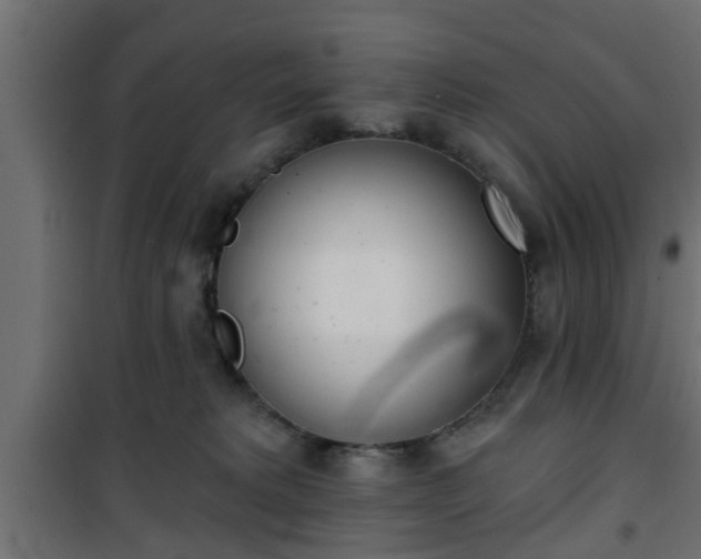 X0000101200229200807071322