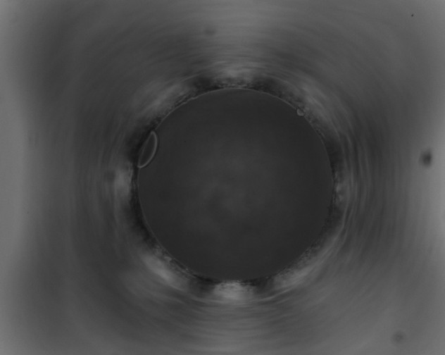X0000101200231200807071322
