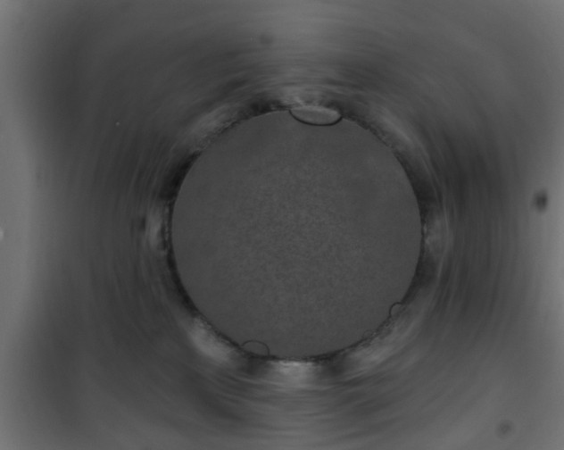 X0000101200233200807071322
