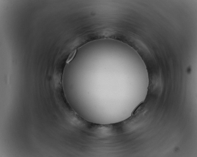 X0000101200236200807071322
