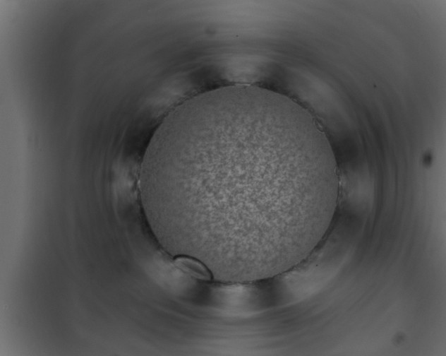 X0000101200237200807071322