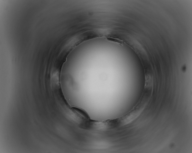X0000101200238200807071322