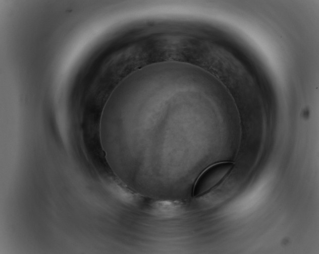 X0000101200239200807071322