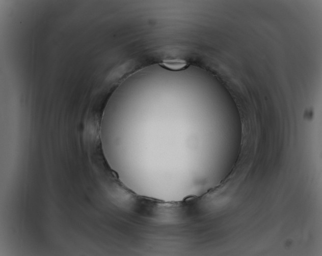 X0000101200240200807071322
