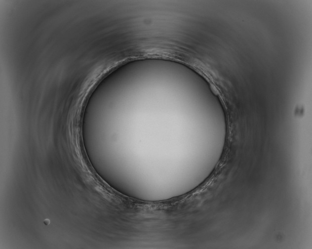 X0000101200241200807071321