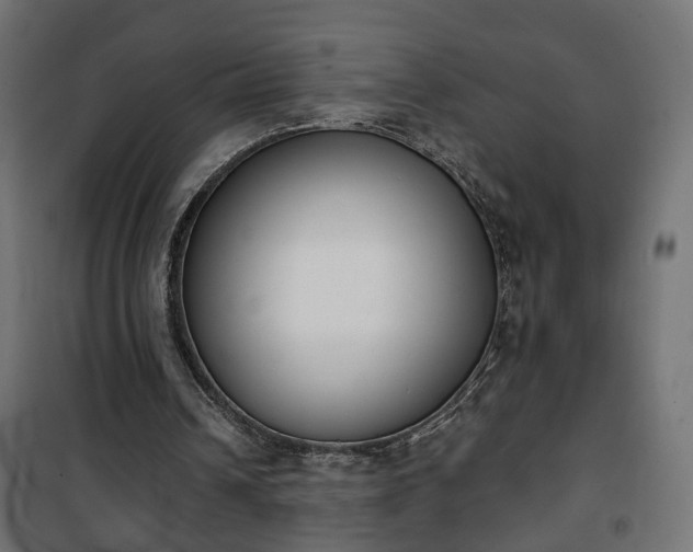 X0000101200242200807071321