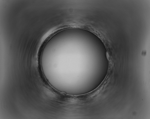 X0000101200246200807071321