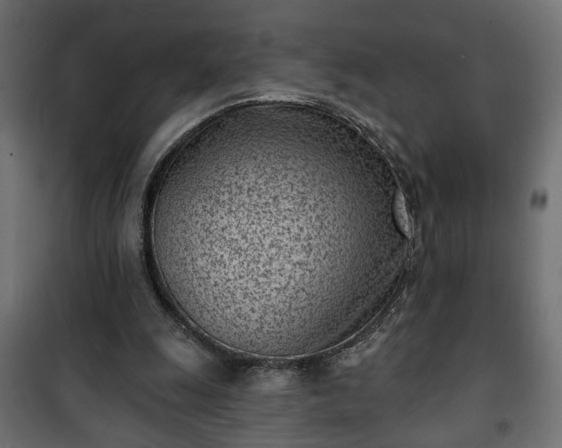 X0000101200247200807071321
