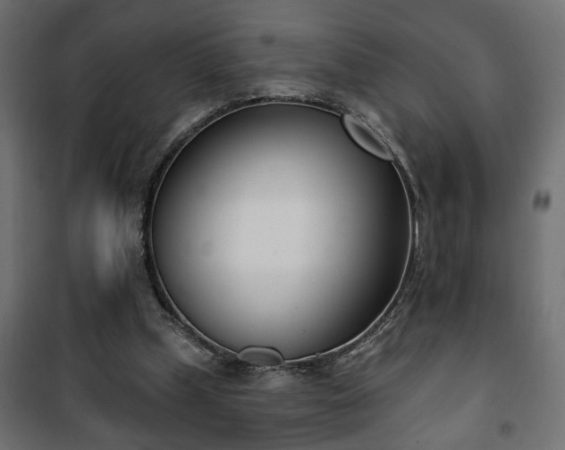 X0000101200249200807071321