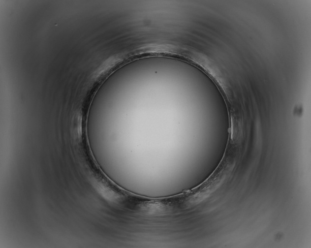 X0000101200253200807071321
