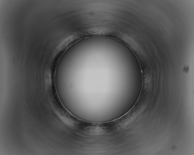 X0000101200254200807071321