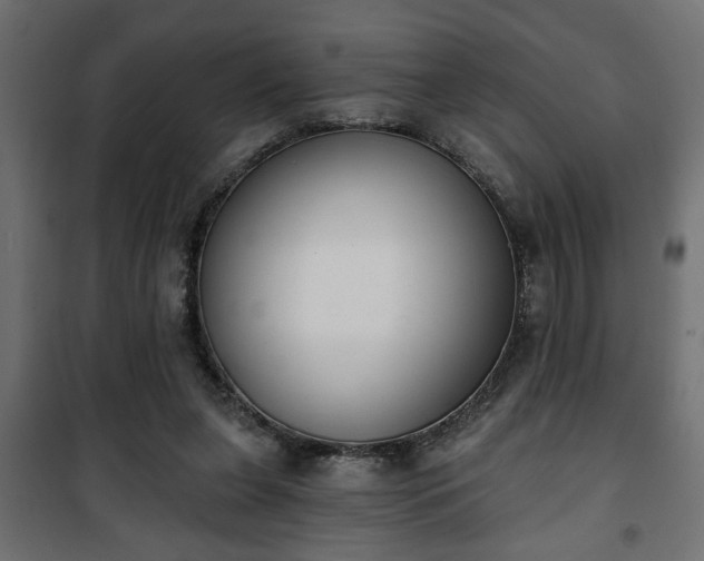 X0000101200255200807071321