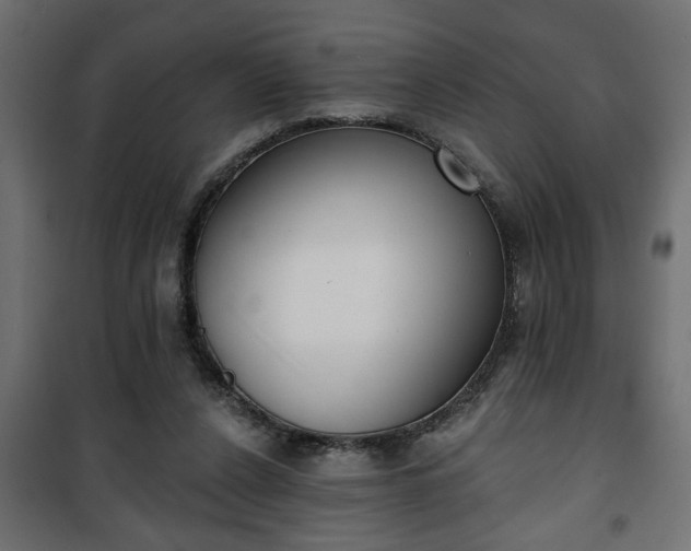 X0000101200256200807071321