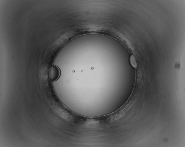 X0000101200257200807071321