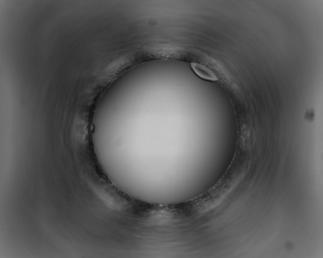 X0000101200259200807071321