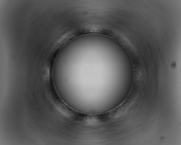 X0000101200262200807071321
