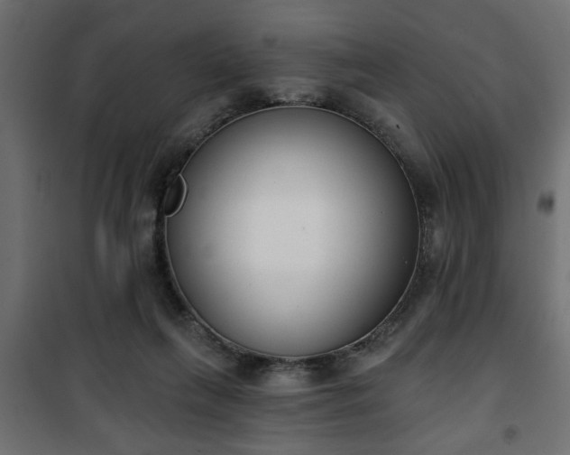 X0000101200263200807071321