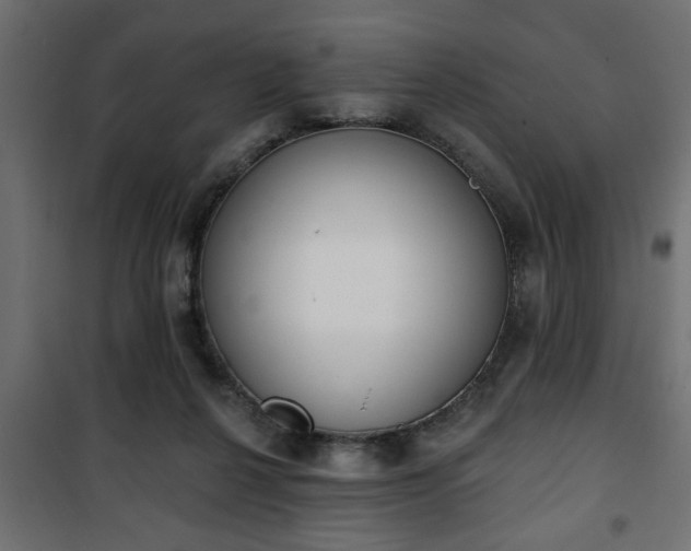 X0000101200264200807071322