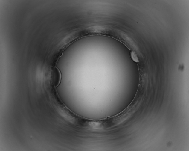 X0000101200265200807071322