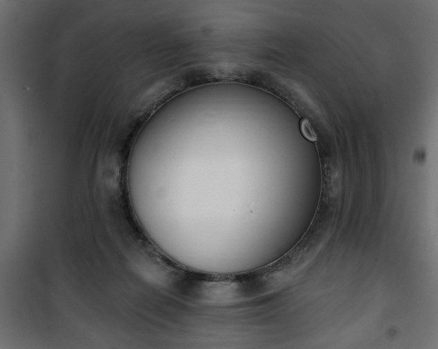 X0000101200266200807071322