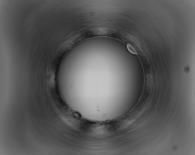 X0000101200267200807071322