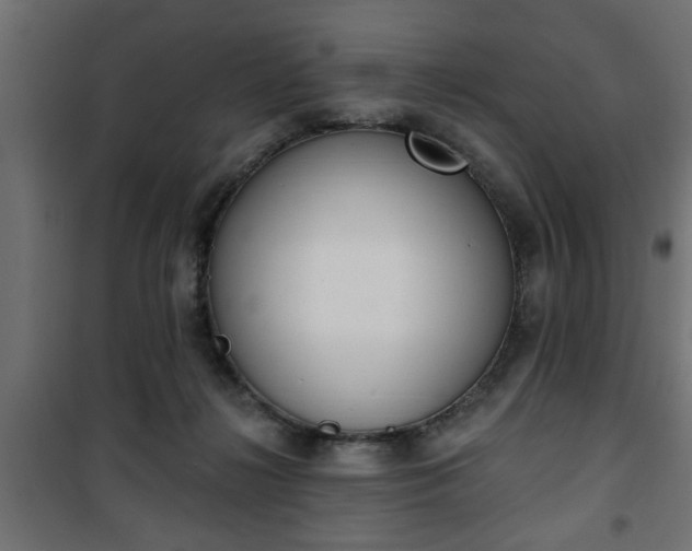 X0000101200268200807071322