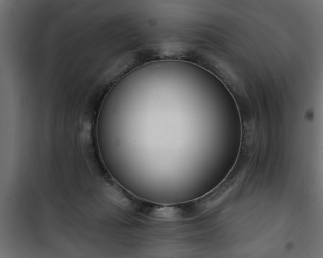 X0000101200269200807071322
