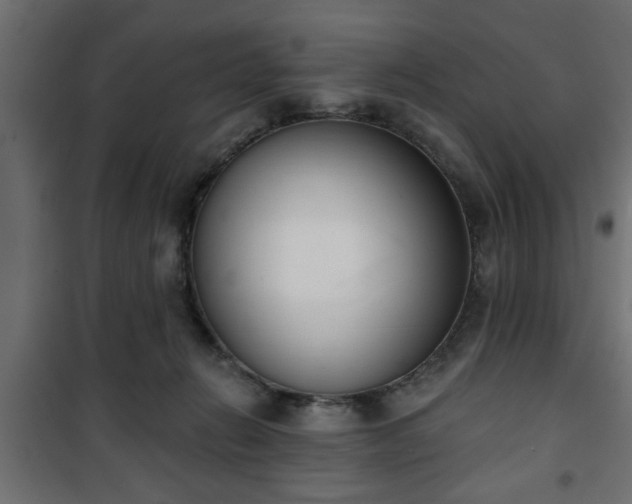 X0000101200270200807071322
