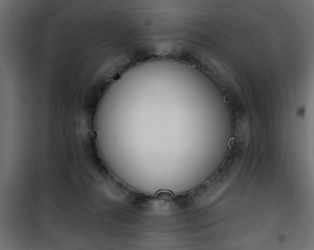 X0000101200272200807071322