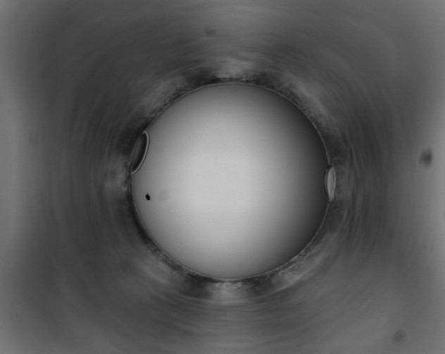 X0000101200273200807071322
